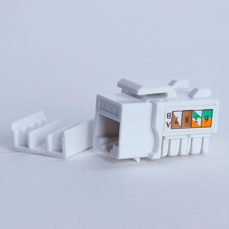 Moduł keystone UTP cat. 5e (RJ-45) 90° biały Digitalbox