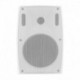 Głośnik QOLTEC Dwudrożny naścienny | 35W | 30cm | 8 Om | TRAFO | biały